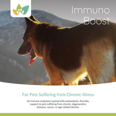 Arrowleaf Pet Immuno Boost (USA) NaturPet Immuno Boost (Canada) - Full System Support with Ashwagandha and Turmeric