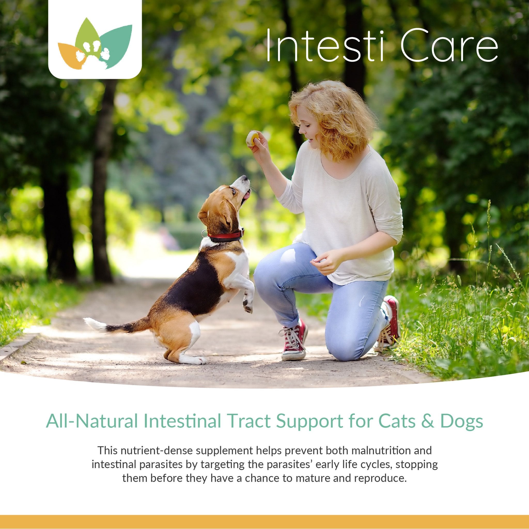 Arrowleaf Pet Intesti Care Product Info