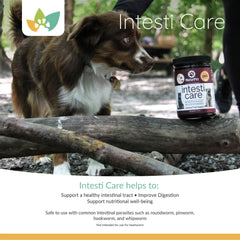 Arrowleaf Pet Intesti Care Product Info 2