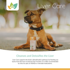 Arrowleaf Pet Liver Care Product Info