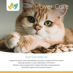 Arrowleaf Pet Liver Care Product Info 2