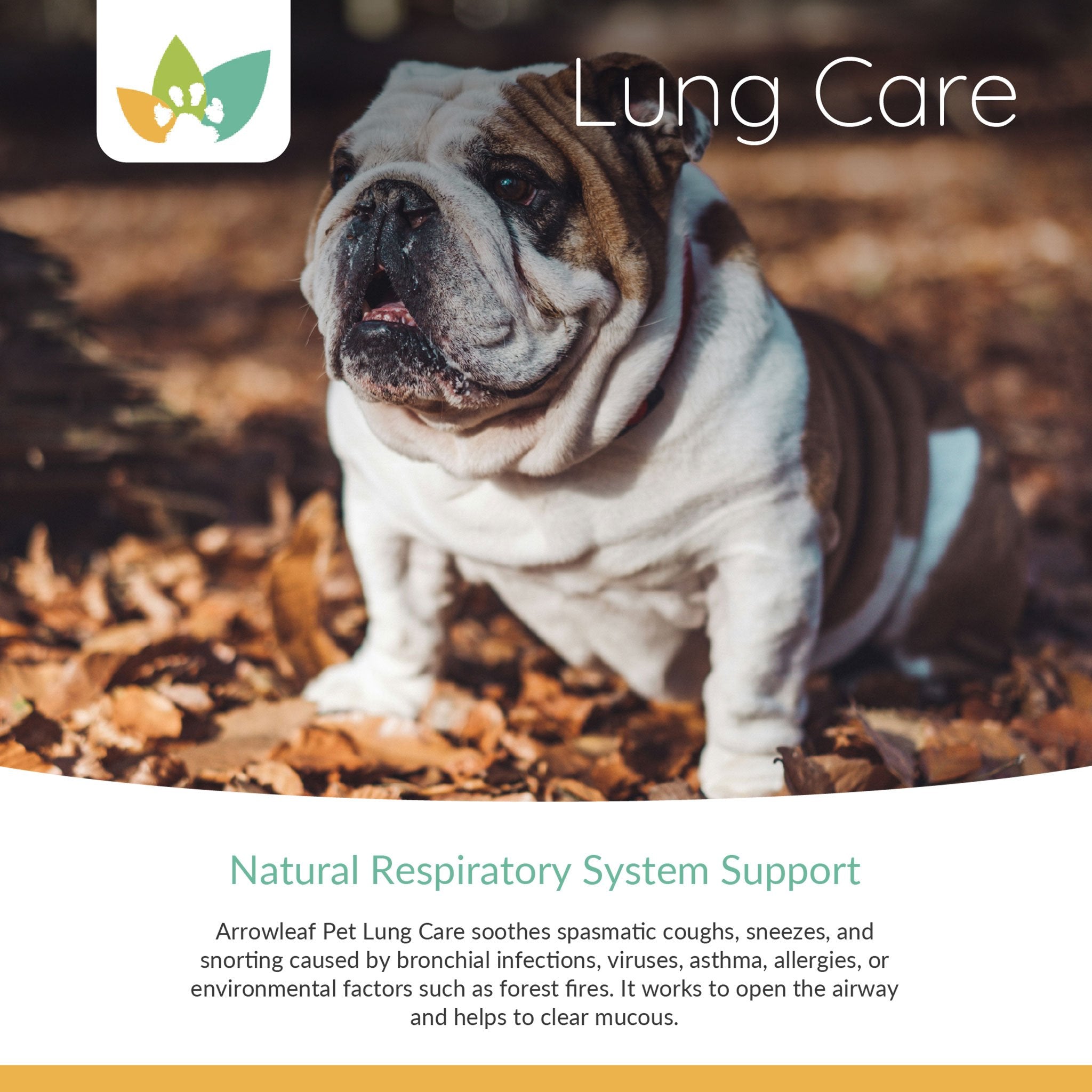 Arrowleaf Pet Lung Care Product Info