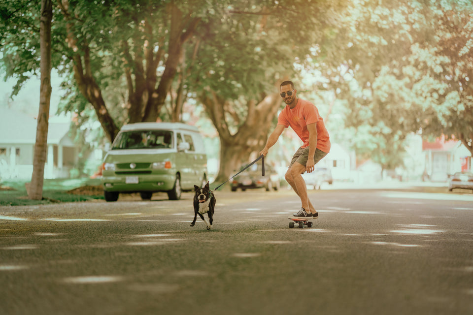 A man riding a skateboard holds the leash of a small black-and-white dog running beside him on a tree-lined residential street.