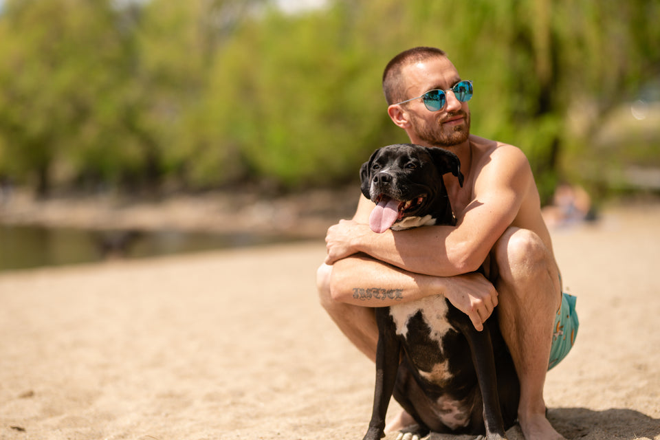 A man wearing blue sunglasses hugs a happy black-and-white dog on a sunny beach, with soft green trees blurred in the background.