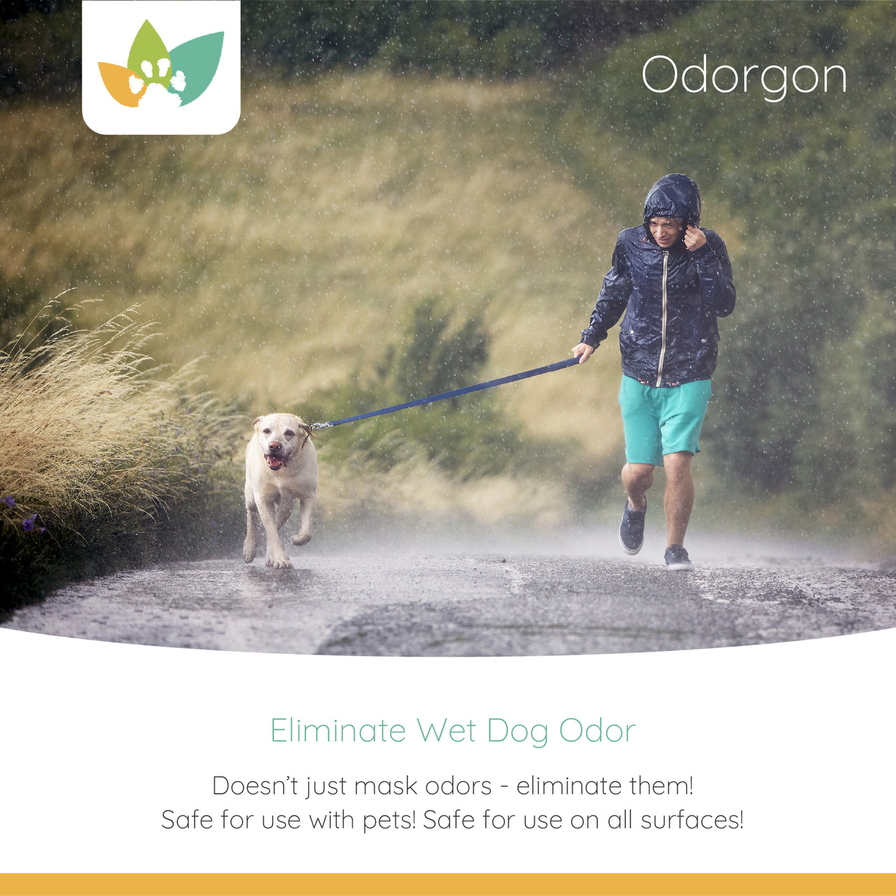 A person in a hooded rain jacket walks a wet yellow dog along a rainy rural path. The graphic includes the Nature Pet Store logo, the heading “Odorgon,” and the text “Eliminate Wet Dog Odor,” followed by the lines “Doesn’t just mask odors – eliminate them! Safe for use with pets! Safe for use on all surfaces!”