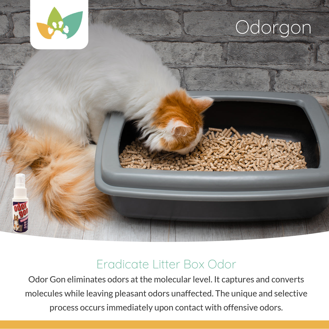 A long-haired orange and white cat leans over a litter box filled with pellet litter. A small Odorgon bottle appears in the lower left corner. The graphic includes the Nature Pet Store logo, the heading “Odorgon,” and the text “Eradicate Litter Box Odor,” followed by a description stating that Odorgon eliminates odors at the molecular level.
