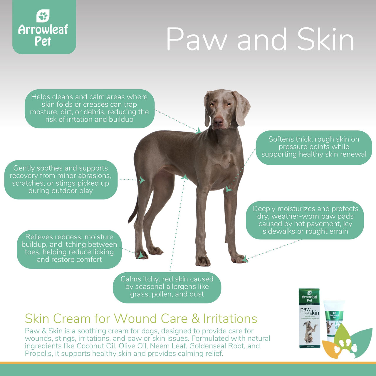 Arrowleaf Pet Paw and Skin infographic featuring a Weimaraner with labelled benefits including relief for redness and moisture buildup, support for minor abrasions, soothing seasonal irritation, softening rough skin on pressure points, and protection for weather-worn paw pads.