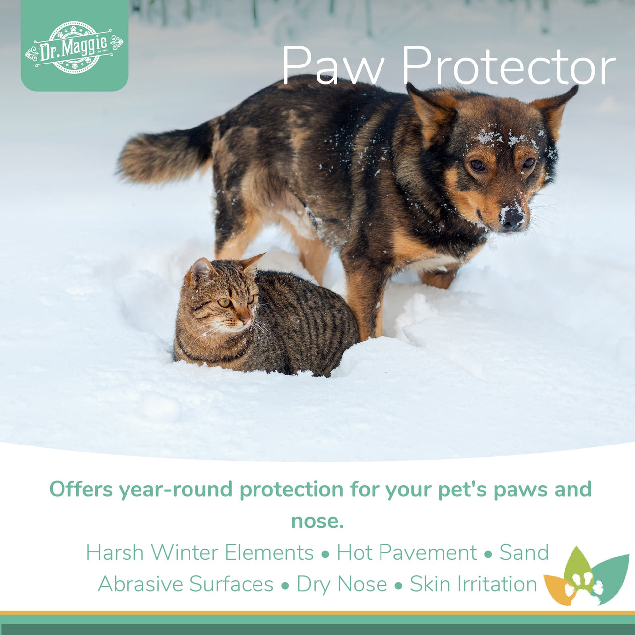 Dr. Maggie Paw Protector promotional image featuring a Swedish Vallhund and a tabby cat standing together in deep winter snow, highlighting year-round protection from harsh winter elements, hot pavement, sand, abrasive surfaces, dry nose, and skin irritation.