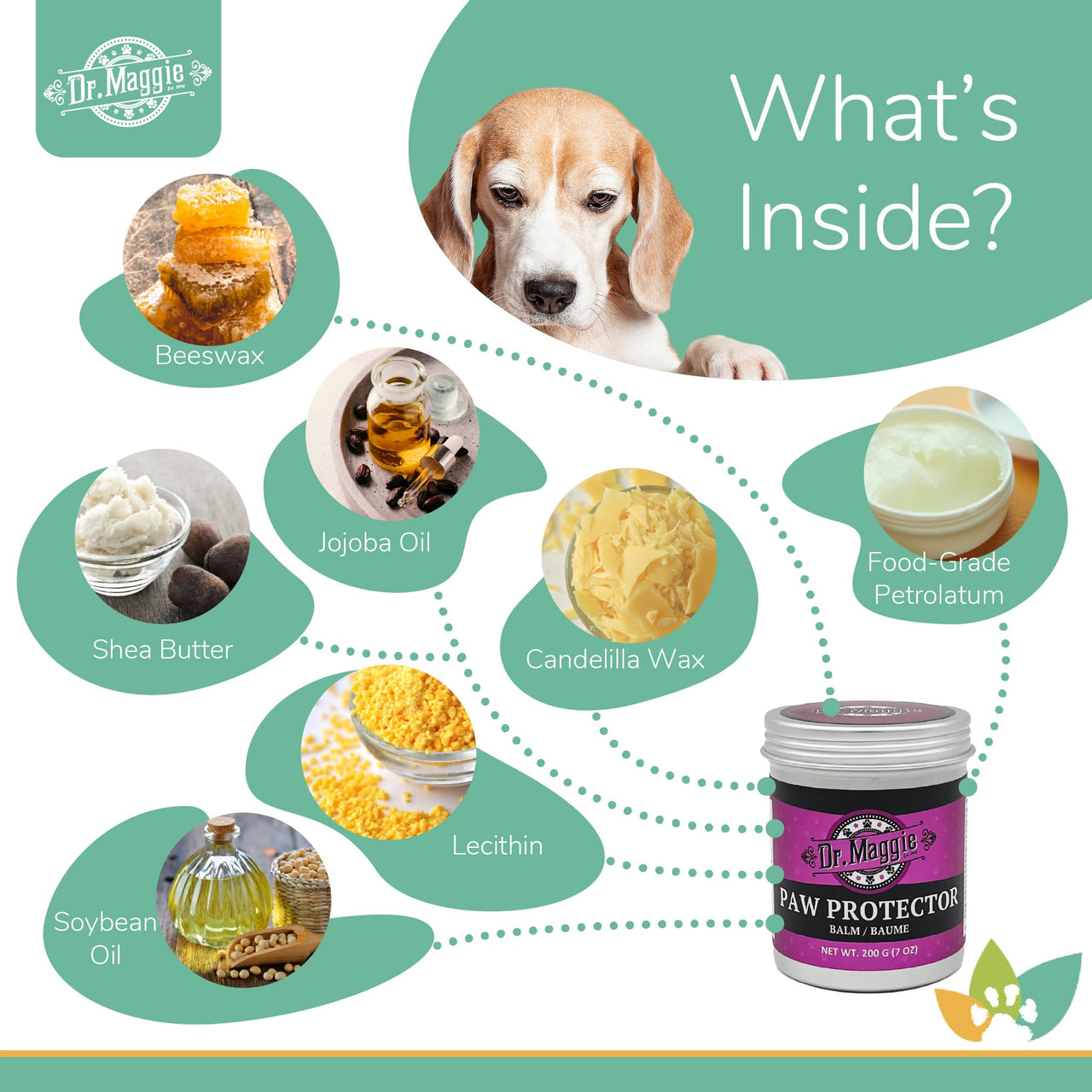 Dr. Maggie Paw Protector ingredients infographic with a Beagle and labeled natural ingredients including beeswax, shea butter, jojoba oil, candelilla wax, food-grade petrolatum, lecithin, and soybean oil.