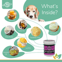Dr. Maggie Paw Protector ingredients infographic with a Beagle and labeled natural ingredients including beeswax, shea butter, jojoba oil, candelilla wax, food-grade petrolatum, lecithin, and soybean oil.