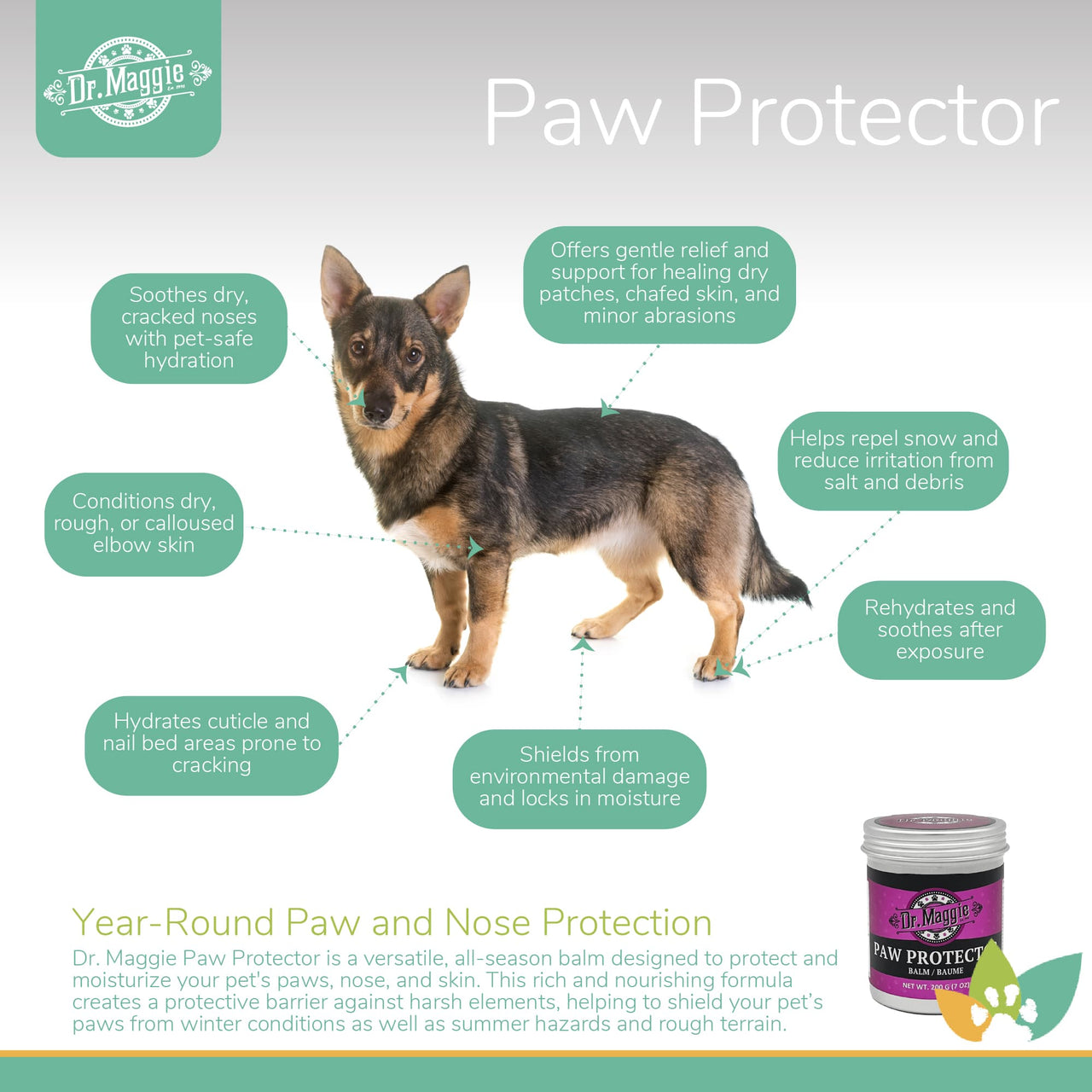 Dr. Maggie Paw Protector infographic featuring a Swedish Vallhund with labeled benefits including dry nose hydration, relief for cracked paws, protection from snow and salt irritation, elbow skin conditioning, cuticle and nail bed hydration, and year-round paw and nose moisture support.