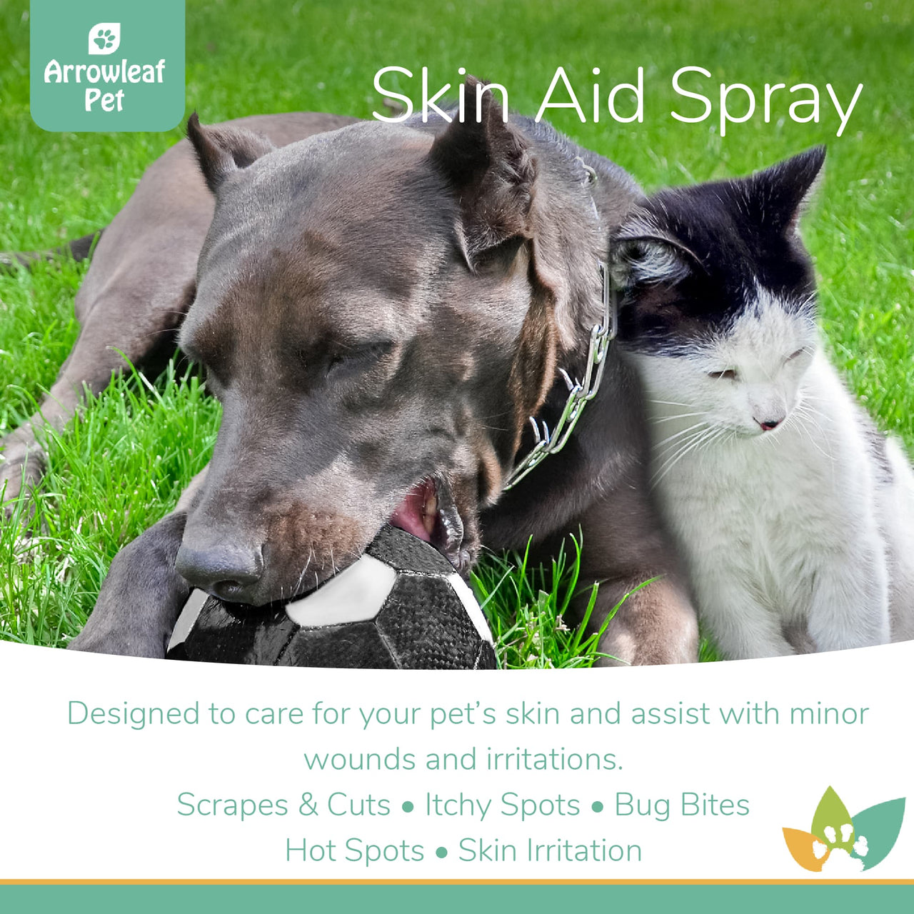 Arrowleaf Pet Vision Care promotional image featuring a pit bull and a tuxedo cat, highlighting eye health, visual clarity, and support for aging eyes, low-light struggles, and environmental irritants.