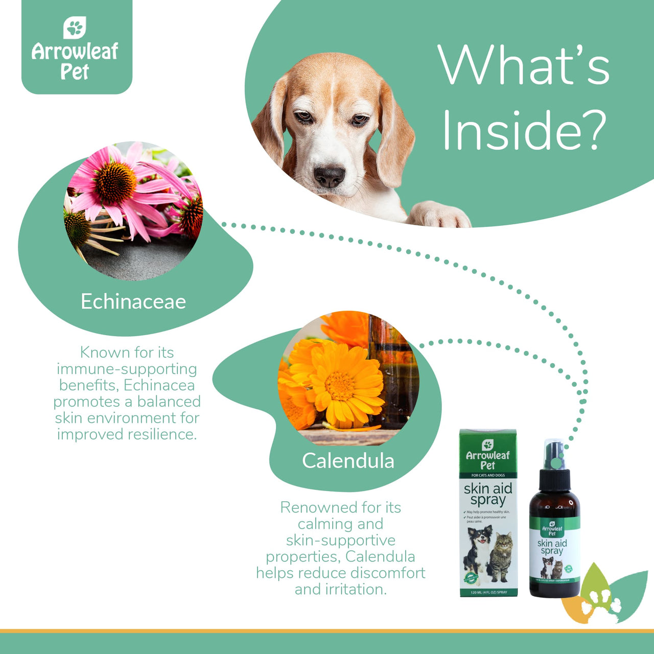 Arrowleaf Pet Skin Aid Spray ingredients infographic with a Beagle featuring echinacea and calendula, highlighting their skin-soothing, calming, and resiliency-supporting benefits.