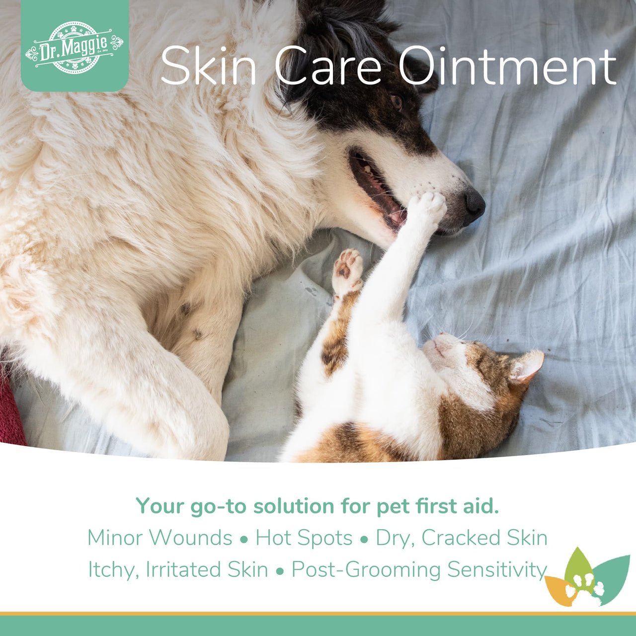Dr. Maggie Skin Care Ointment promotional image featuring a Border Collie and a tabby cat playfully interacting on a bed, highlighting support for minor wounds, hot spots, dry or cracked skin, itchy or irritated skin, and post-grooming sensitivity.