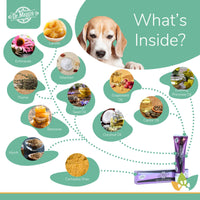 Dr. Maggie Skin Care Ointment ingredients infographic featuring a Beagle and labeled natural ingredients including lanolin, echinacea, allantoin, grapeseed oil, evening primrose oil, thyme, borage seed oil, castor oil, coconut oil, beeswax, myrrh, and carnauba wax.