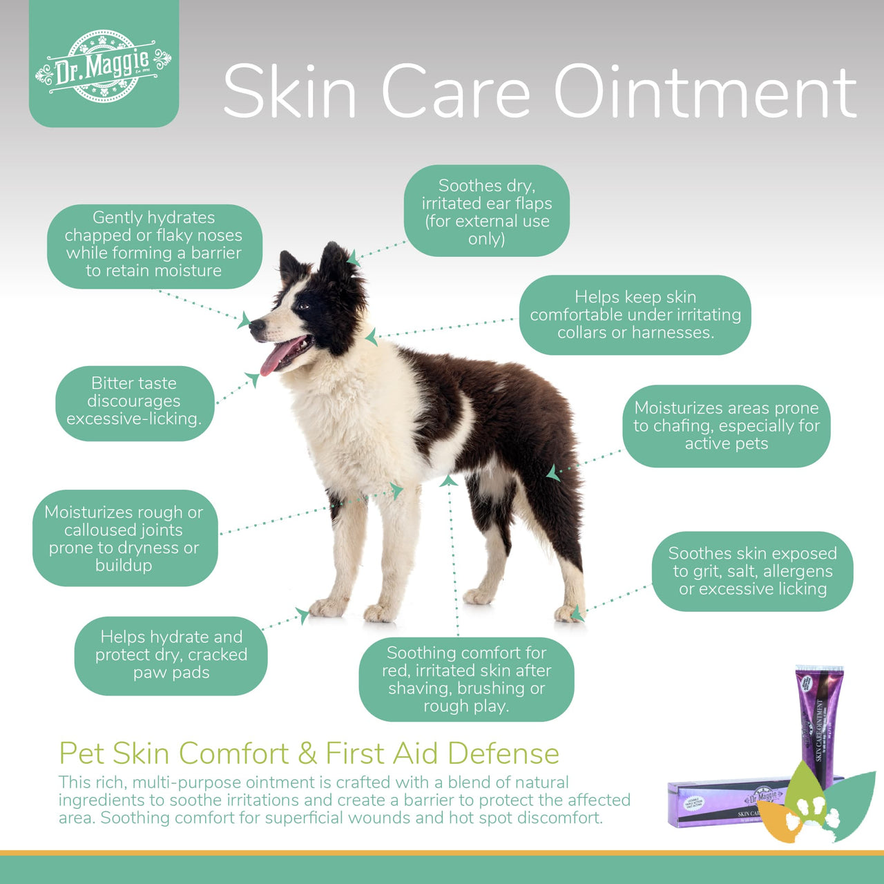 Dr. Maggie Skin Care Ointment infographic featuring a Border Collie with labeled benefits including improved skin comfort, relief for minor irritations, hydration for dry or chapped areas, support for paw pads and rough joints, soothing for hot spots, and protection against everyday skin discomfort.