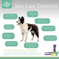 Dr. Maggie Skin Care Ointment infographic featuring a Border Collie with labeled benefits including improved skin comfort, relief for minor irritations, hydration for dry or chapped areas, support for paw pads and rough joints, soothing for hot spots, and protection against everyday skin discomfort.