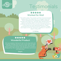 Dr. Maggie Skin Care Ointment testimonial infographic with an illustrated cat mailing a letter, featuring two customer reviews highlighting relief from small skin infections, improved healing of irritated areas, and reduced recurrence of rashes in dogs.