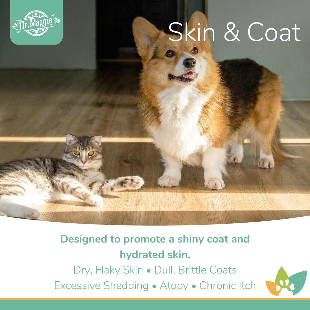 Dr. Maggie Skin & Coat promotional image featuring a Corgi and a tabby cat indoors, highlighting support for shiny coats, hydrated skin, dry or flaky skin, dull coats, excessive shedding, atopy, and chronic itch.