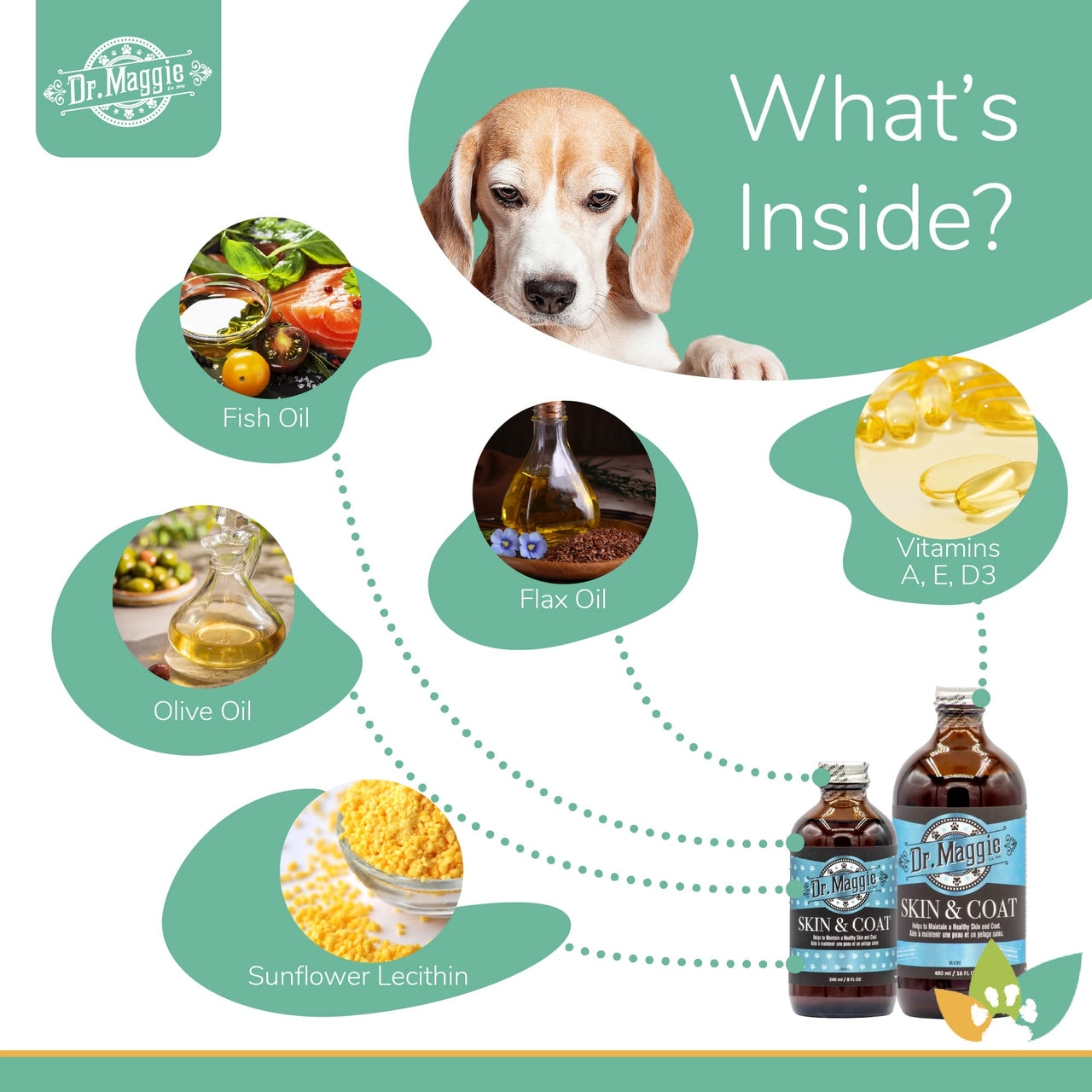 Dr. Maggie Skin & Coat ingredients infographic featuring a Beagle and labeled natural ingredients including fish oil, flax oil, olive oil, sunflower lecithin, and vitamins A, E, and D3.