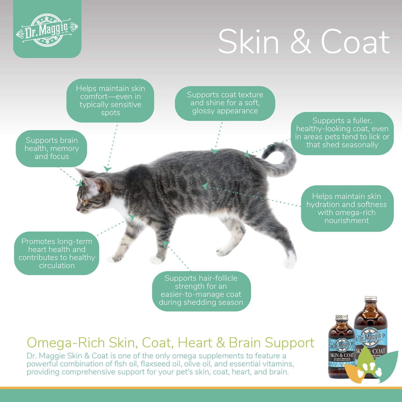 Dr. Maggie Skin & Coat infographic featuring a grey tabby cat with labeled benefits including improved skin comfort, enhanced coat shine, seasonal shedding support, omega-rich hydration, heart health, and brain function.