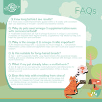 Dr. Maggie Skin & Coat FAQ infographic with an illustrated cat mailing a letter. Text answers common questions about results timeline, omega-3 needs with commercial food, the importance of fatty-acid balance, suitability for long-haired breeds, using it alongside multivitamins, and support for stress-related shedding.