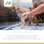 Bella Bar - Sweet Orange Scent | Pet Shampoo Bar | Eco-friendly | SLS Free | Rich Lather | For Dogs Only