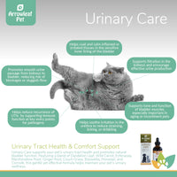 Arrowleaf Pet Urinary Care infographic featuring a British Shorthair cat with labeled benefits including smoother urine flow, bladder lining support, reduced UTI recurrence, and improved kidney filtration.