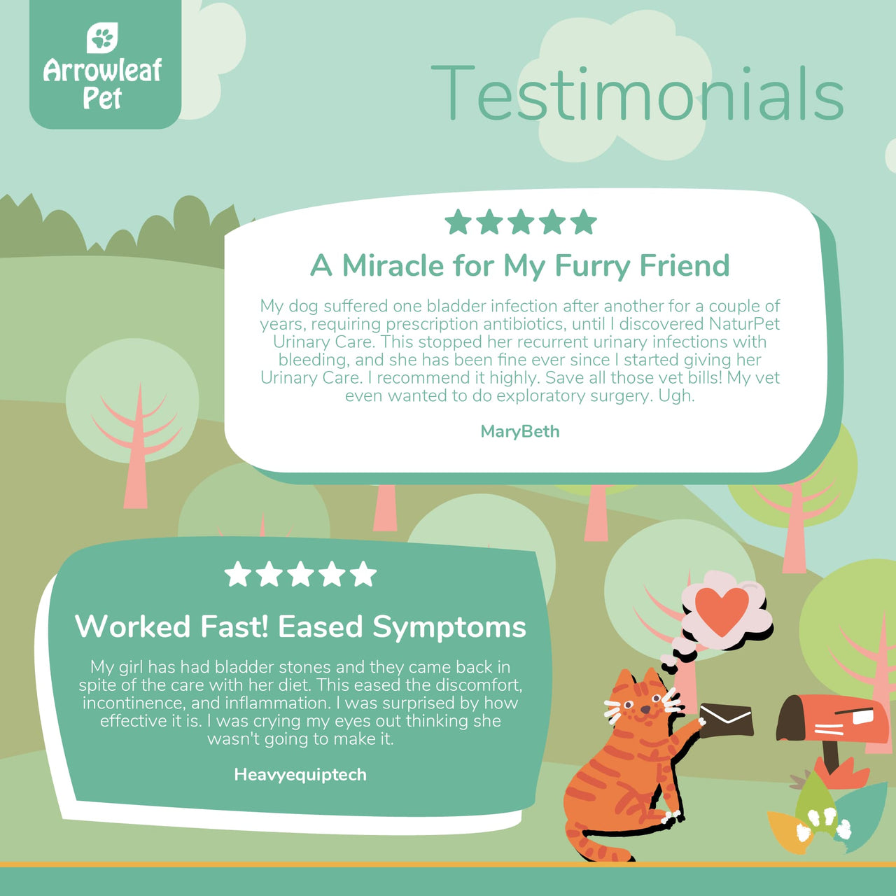 Arrowleaf Pet Urinary Care testimonial infographic with illustrated cat mailing a letter, featuring two customer reviews highlighting reduced urinary infections, eased bladder discomfort, and relief from recurrent urinary issues in pets.