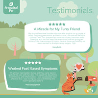 Arrowleaf Pet Urinary Care testimonial infographic with illustrated cat mailing a letter, featuring two customer reviews highlighting reduced urinary infections, eased bladder discomfort, and relief from recurrent urinary issues in pets.