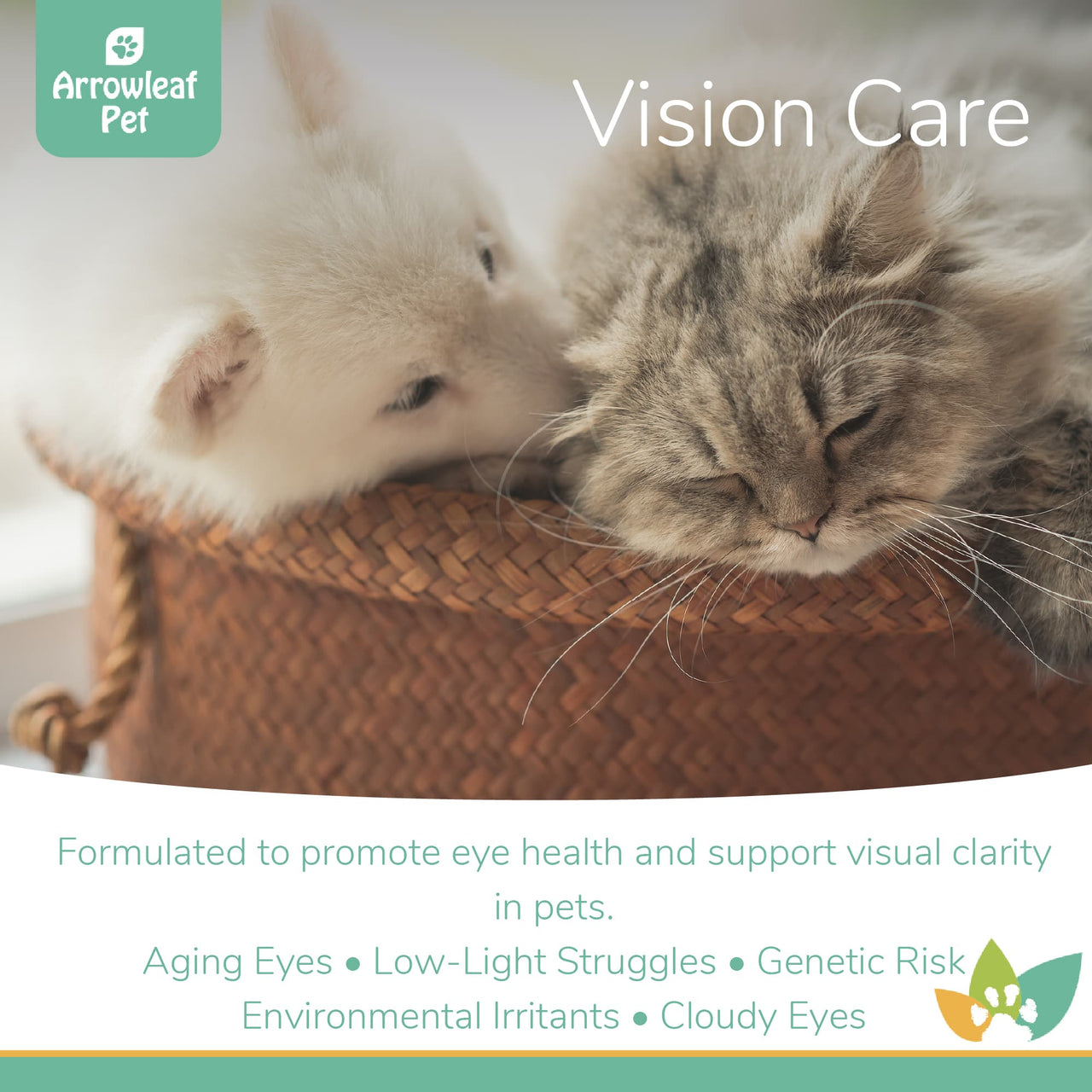 Arrowleaf Pet Vision Care promotional image featuring a white puppy and grey cat, highlighting eye health, visual clarity, and support for aging eyes, low-light struggles, and environmental irritants.