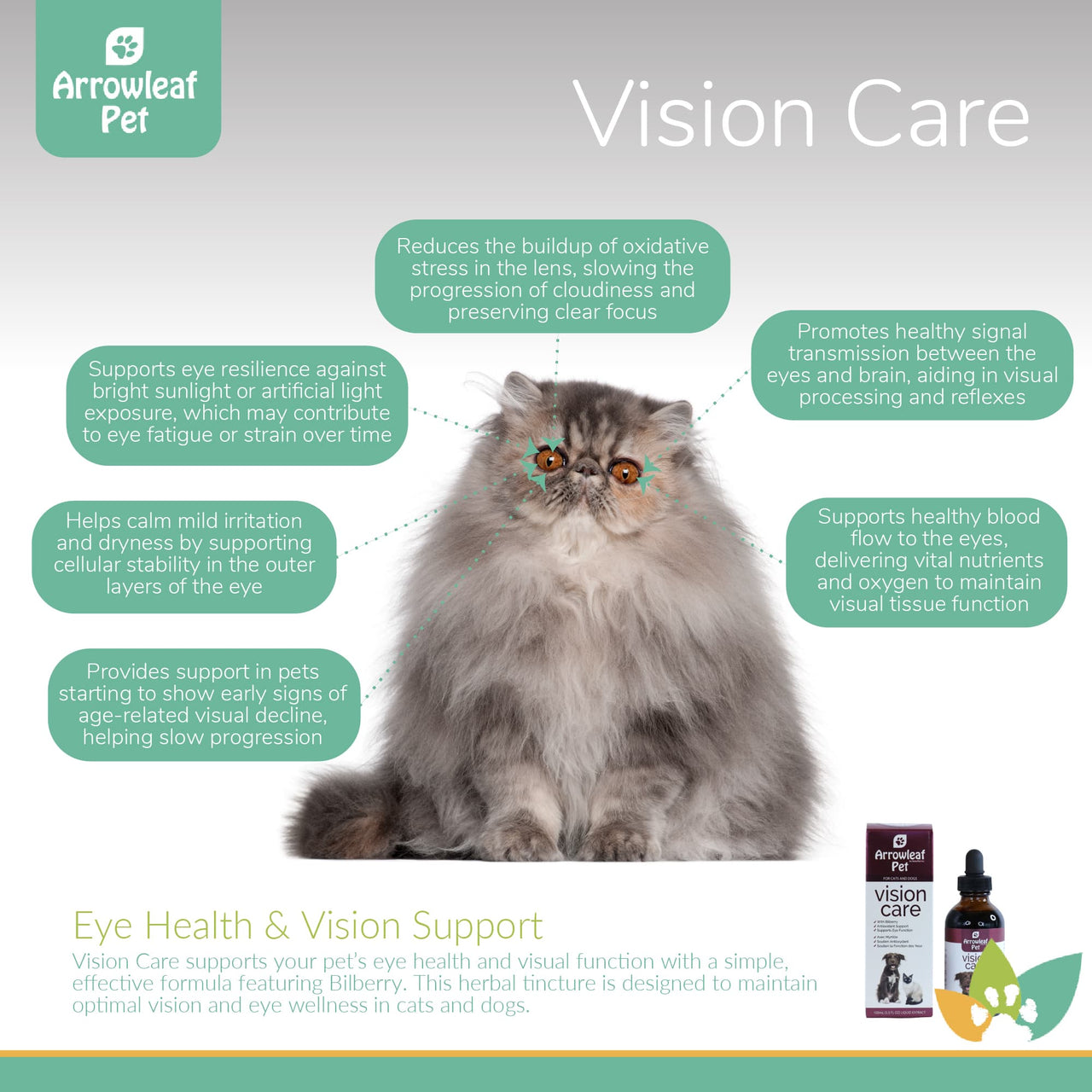 Arrowleaf Pet Vision Care infographic featuring a Persian cat with labeled benefits including oxidative stress reduction, improved blood flow, visual signal support, and relief from irritation.