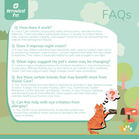 Arrowleaf Pet Vision Care FAQ infographic with illustrated cat mailing a letter. Text answers common questions about how it works, night vision support, signs of vision changes, breed benefits, and eye irritation from allergies.