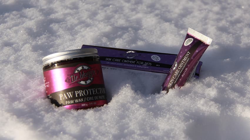 Dr. Maggie Paw Protector and Skin Care Ointment for pets sitting in fresh snow, highlighting winter paw and skin protection for dogs and cats.