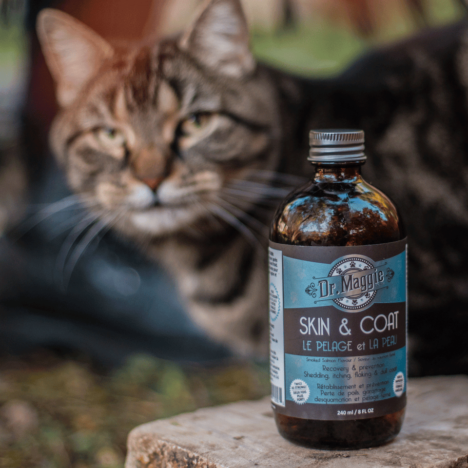 Canine Dermatology Industry: Botanical allergy relief and skin hydration solutions driving innovation in natural pet care.
