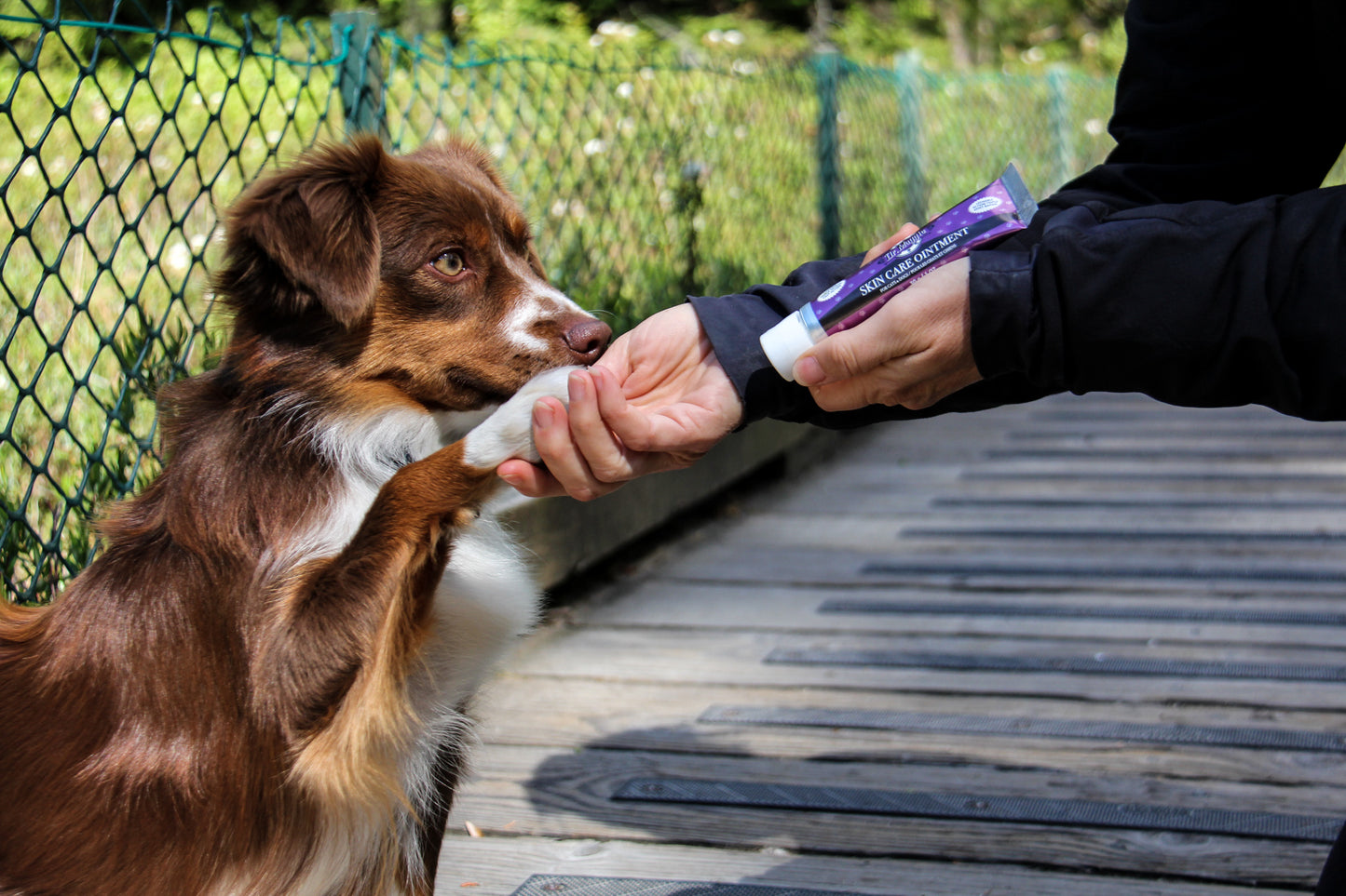 Pet First Aid Bundle - Clean & Protect Wounds - Speed Healing